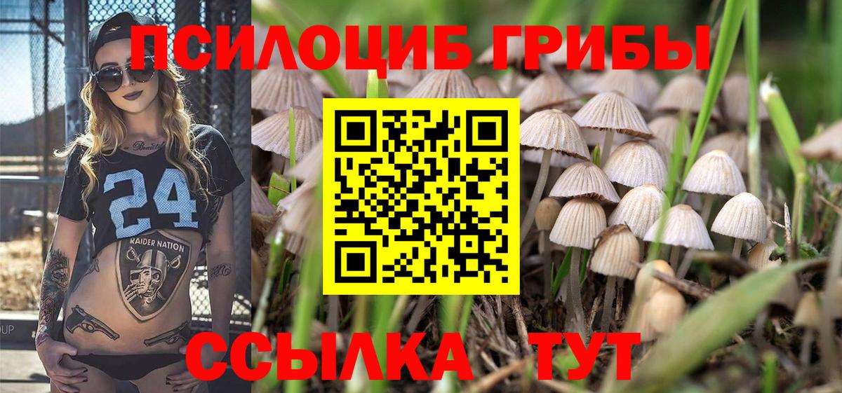 Лениногорск  Псилоцибиновые грибы Magic Shrooms  Вход с VPN 